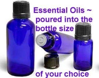 Geranium Essential Oil image 1