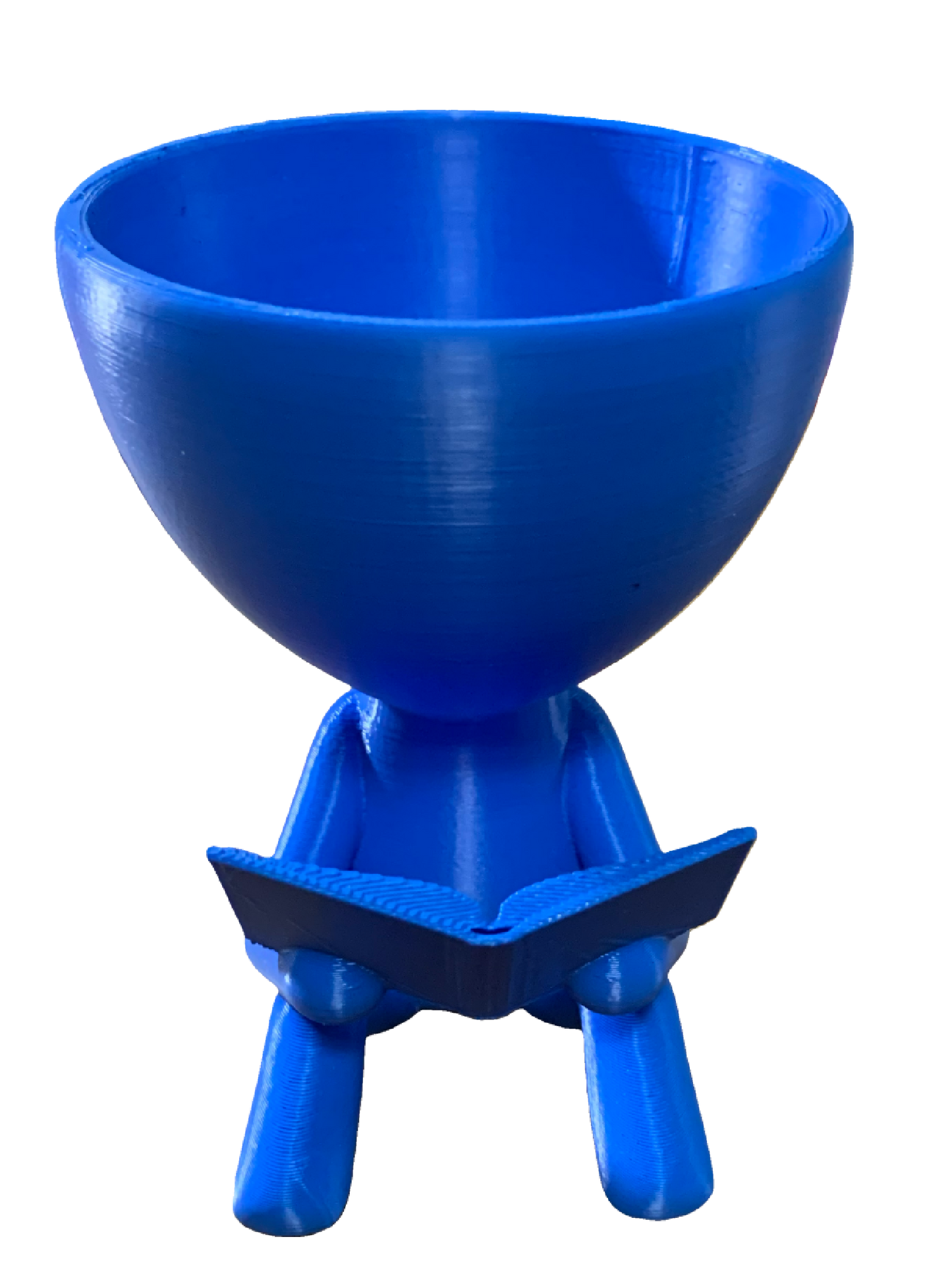 Reader Flower Pot - blue