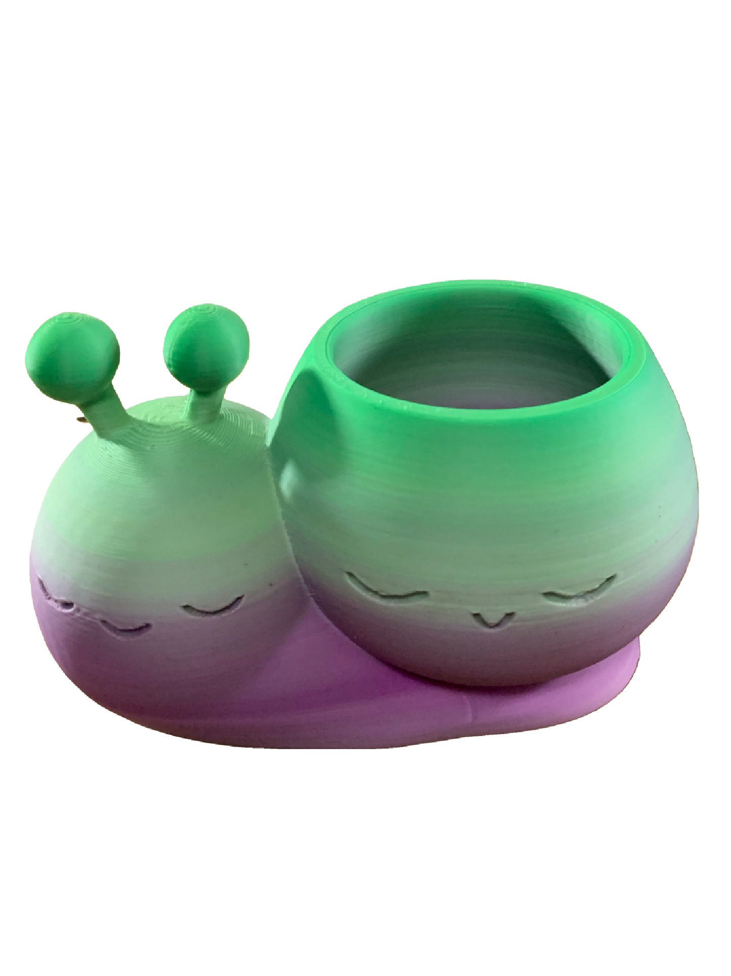Snail Flower Pot - green purple