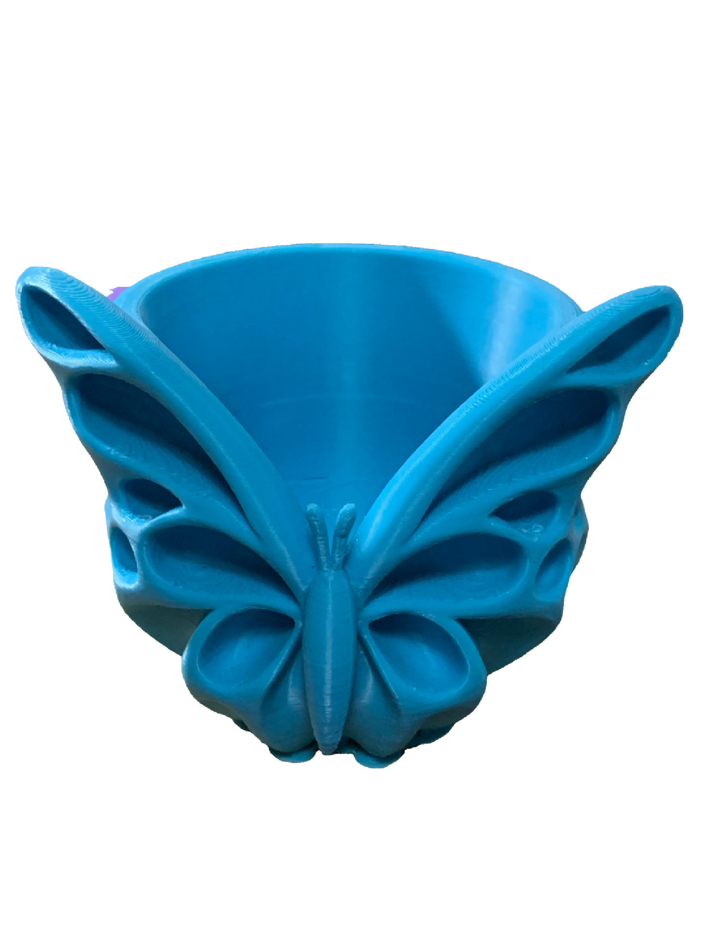 Blue Butterfly Flower Pot