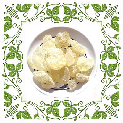 Copal Resin image 0