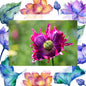 Opium Incense Sticks - two opiums to choose from image 0