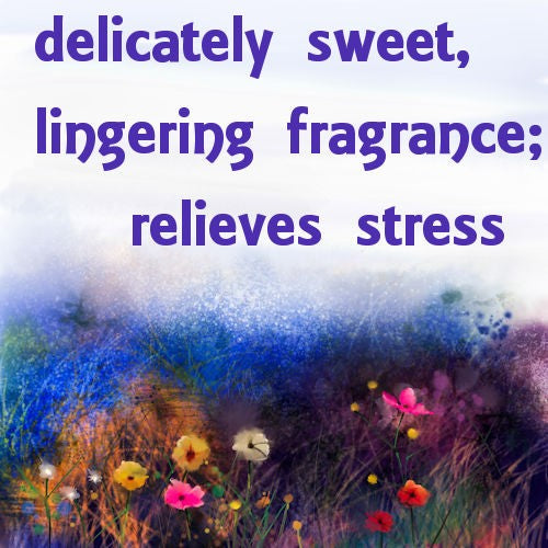 Acacia Essence Oil image 0