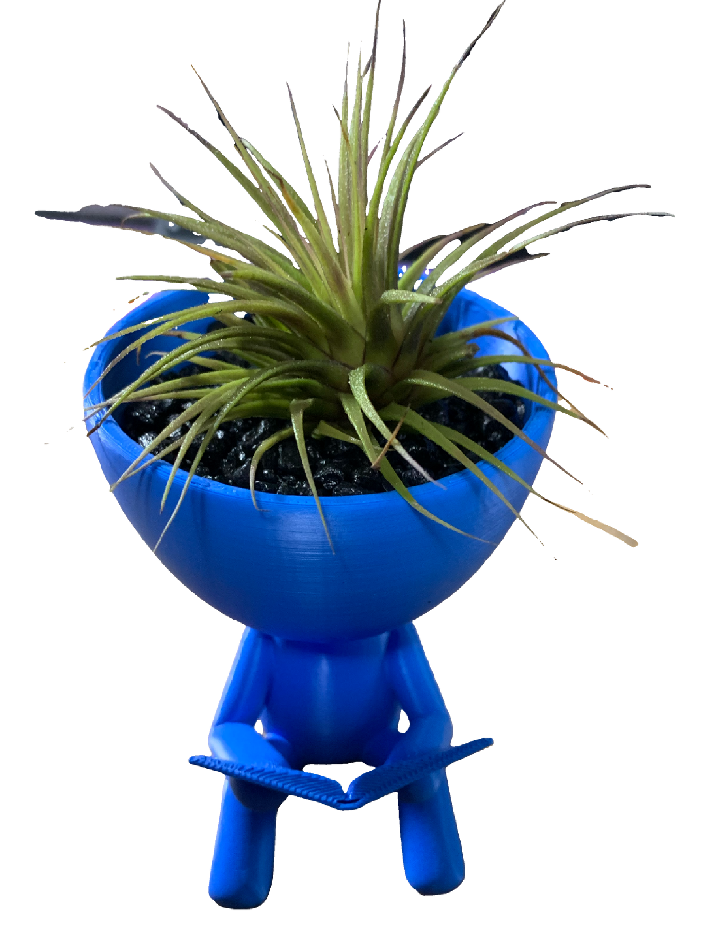 Reader Flower Pot - blue