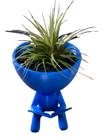 Reader Flower Pot - blue