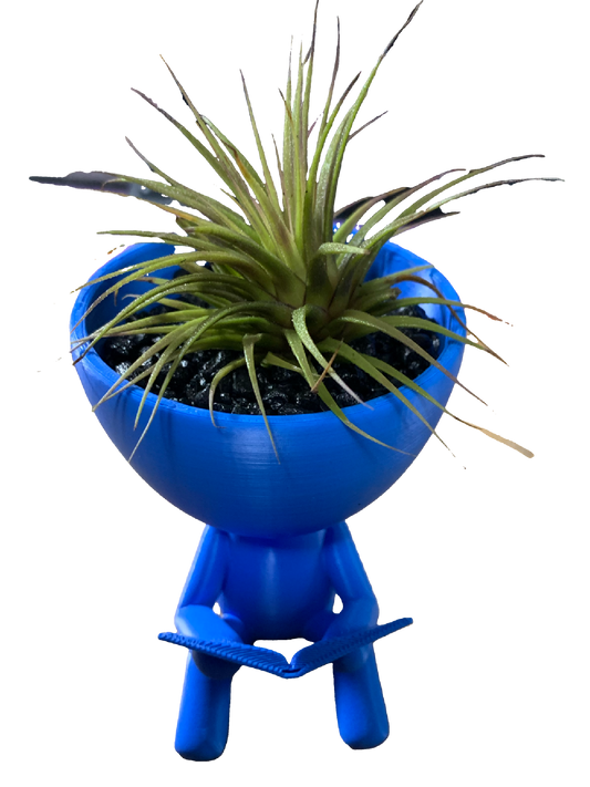 Reader Flower Pot - blue