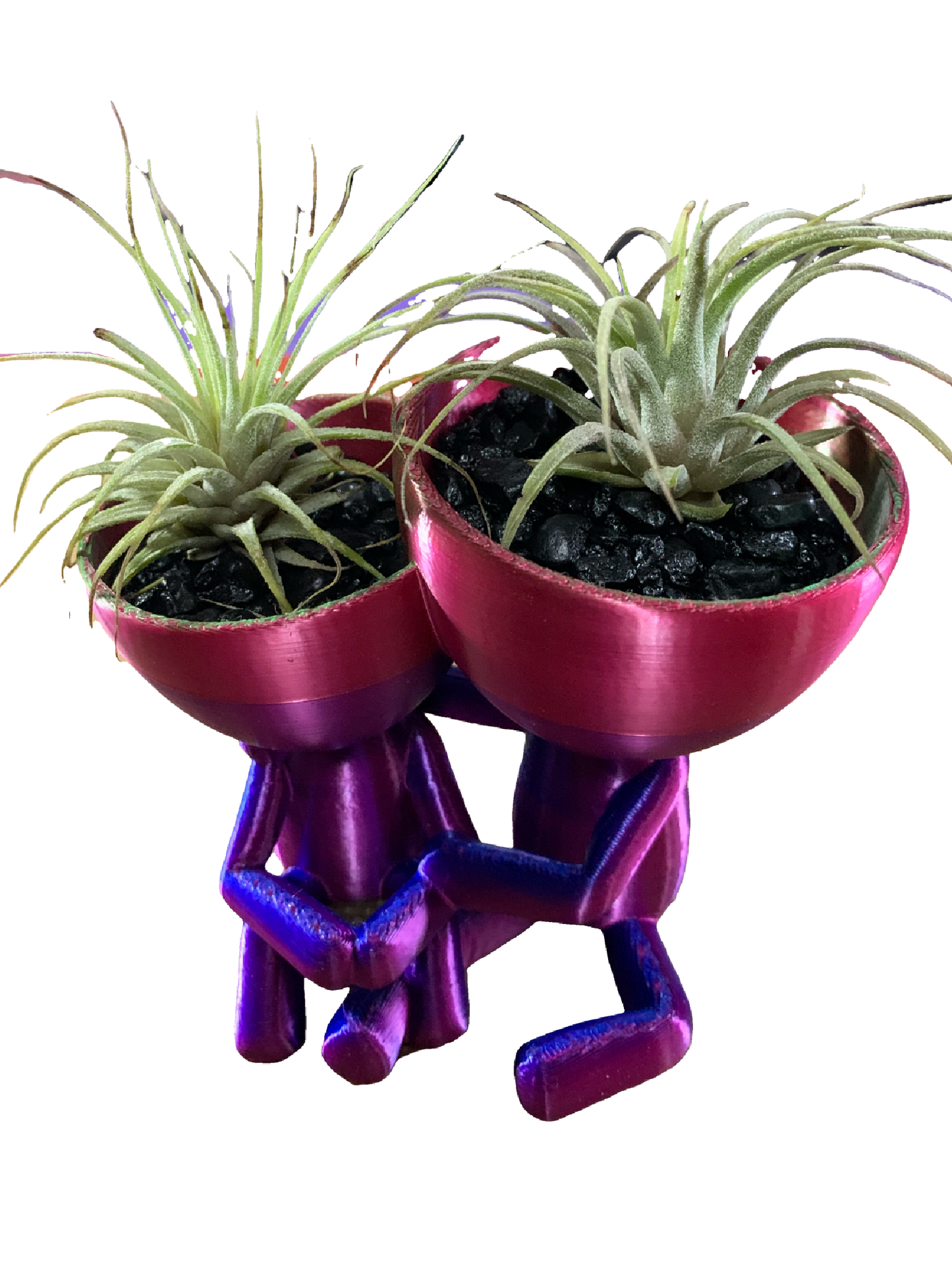 Companions Flower Pot - Shimmering colors
