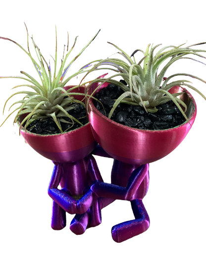 Companions Flower Pot - Shimmering colors