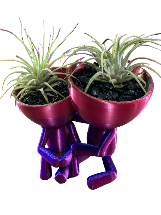 Companions Flower Pot - Shimmering colors