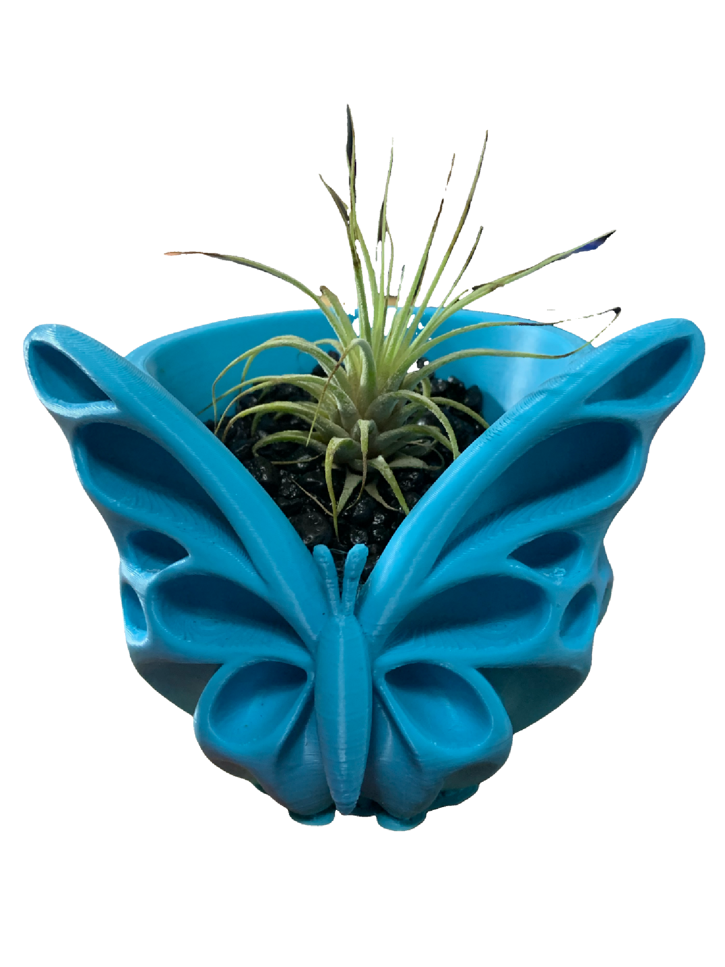 Blue Butterfly Flower Pot