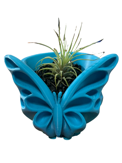 Blue Butterfly Flower Pot