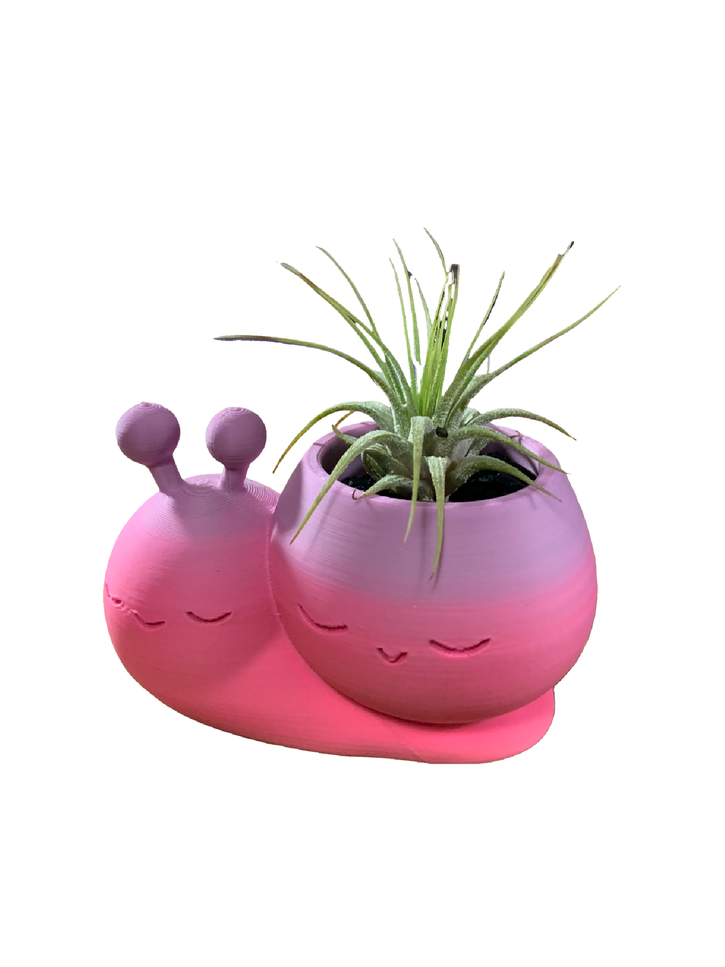 Snail Flower Pot - pink purple