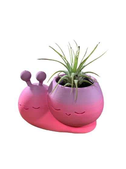 Snail Flower Pot - pink purple
