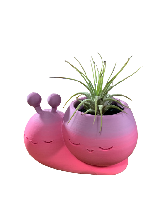 Snail Flower Pot - pink purple