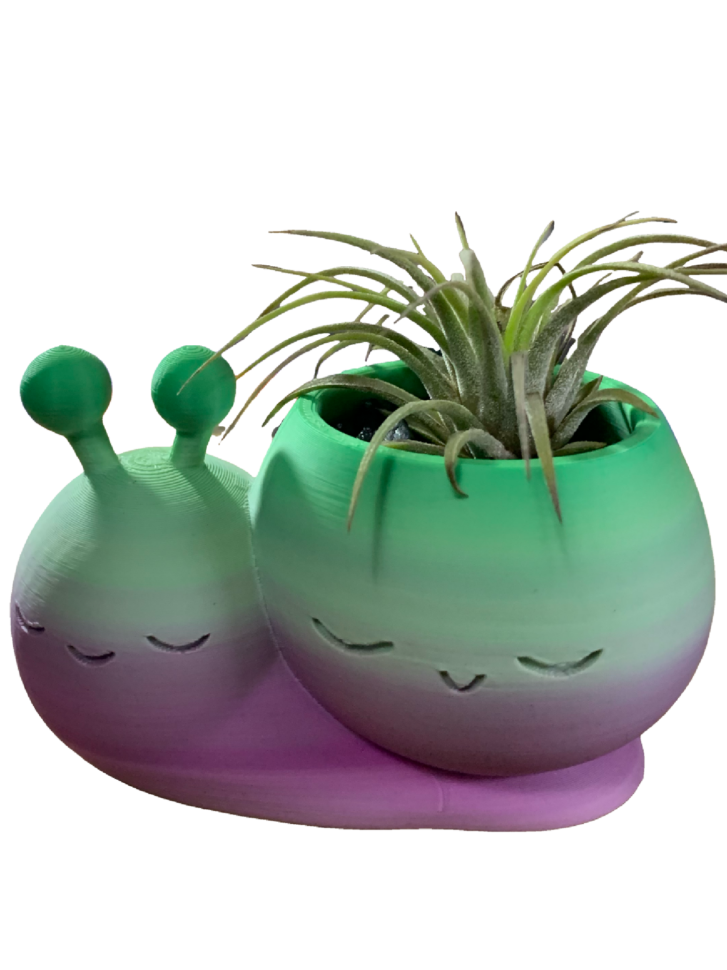 Snail Flower Pot - green purple