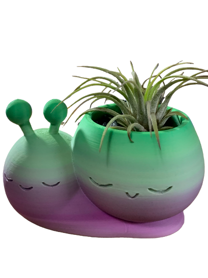 Snail Flower Pot - green purple
