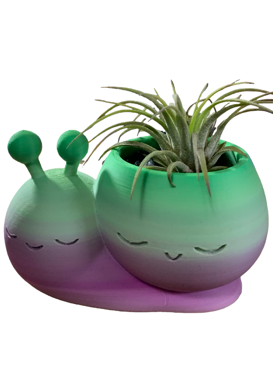 Snail Flower Pot - green purple