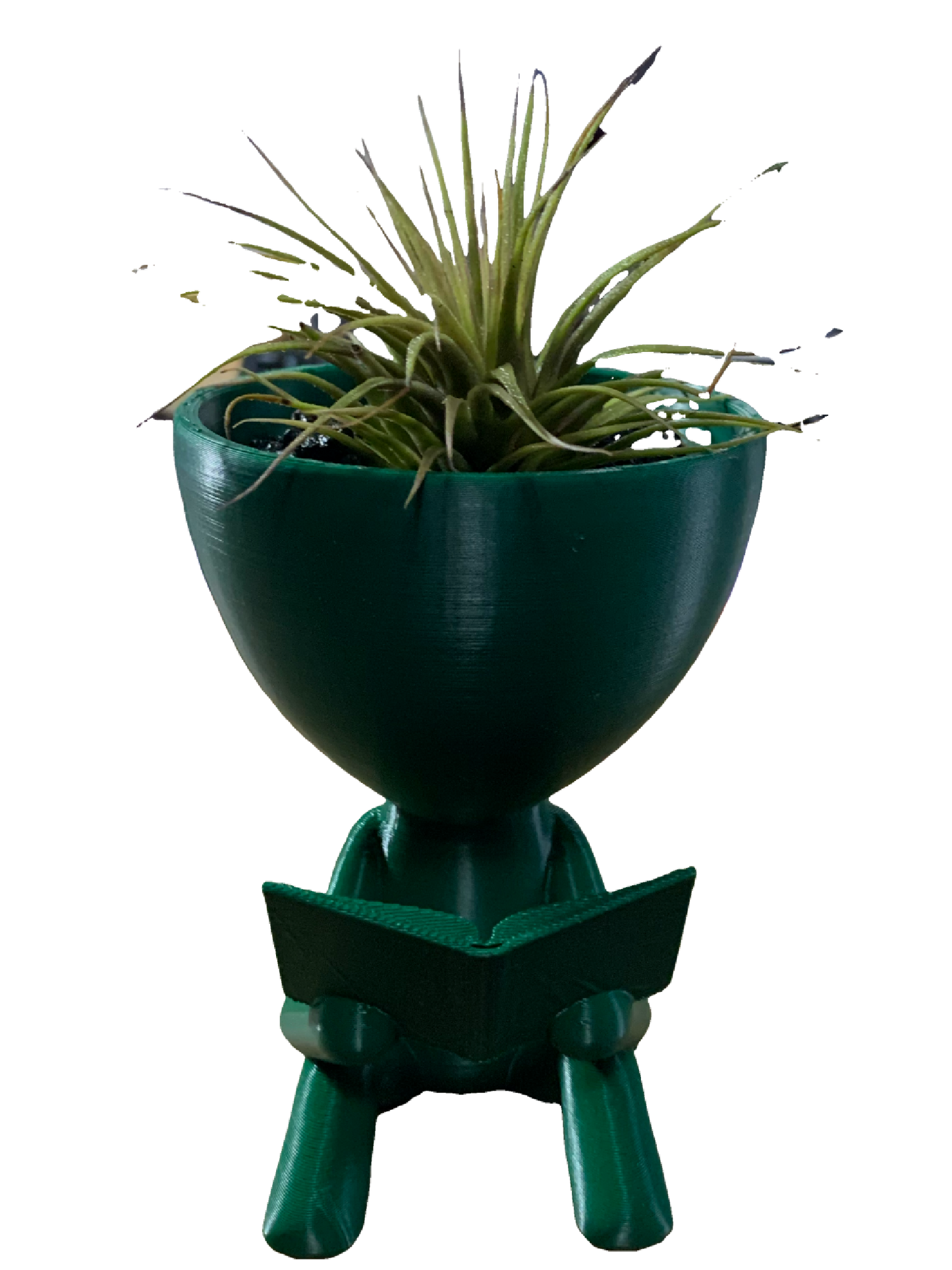 Reader Flower Pot - green