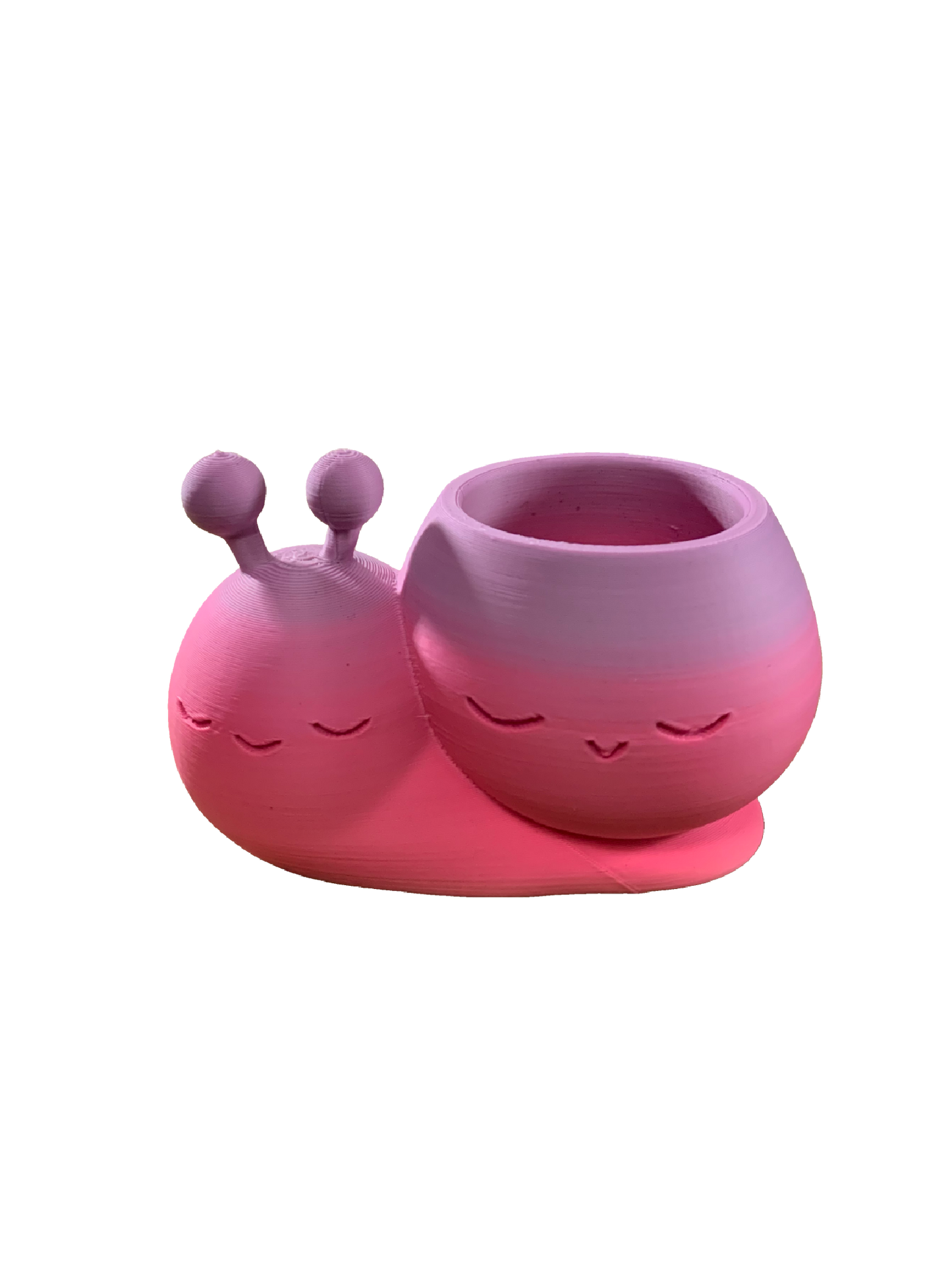 Snail Flower Pot - pink purple