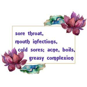 Bergamot Essential Oil