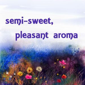 Carnation Essence Oil