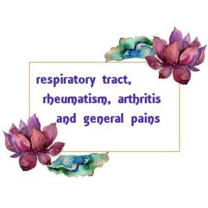 Cinnamon Leaf Essential Oil