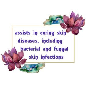 Camphor Essential Oil