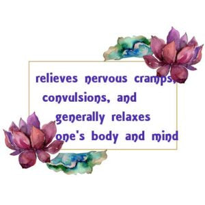 Corriander Essential Oil