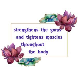 Cypress Essential Oil
