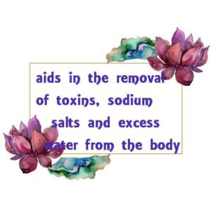Marjoram Essential Oil