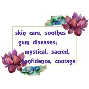 Myrrh Essential Oil - organic
