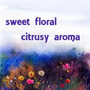 Neroli Essence Oil