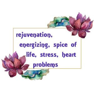 Nutmeg Essential Oil