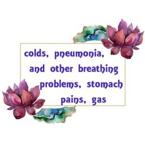 Pennyroyal Essential Oil