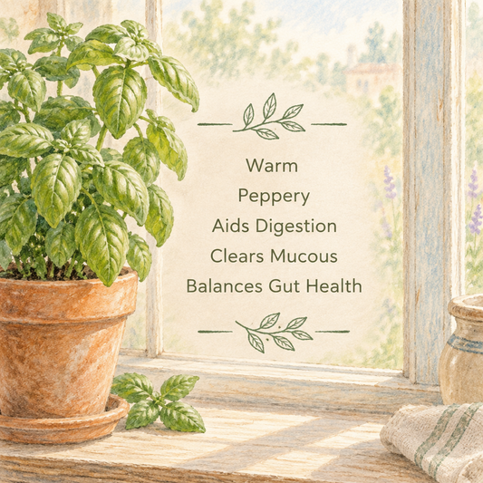 Basil Essential Oil