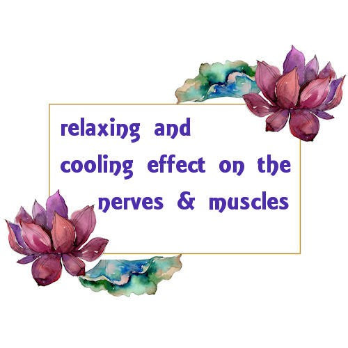 Spearmint Essential Oil image 0