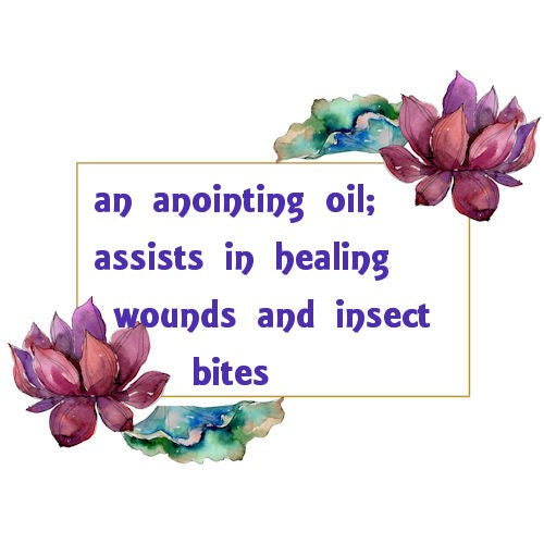 Wormwood Essential Oil image 0