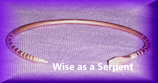 Copper Jewelry image 1