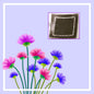 Coil Holder Plate image 0