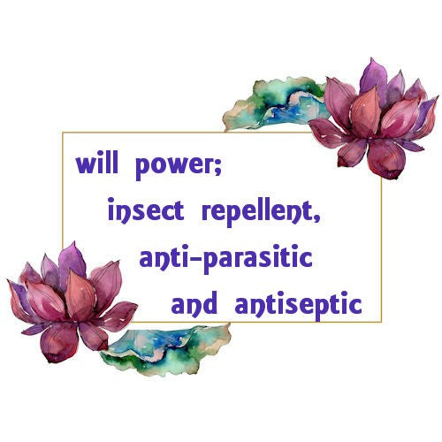 Marigold Essential Oil image 0