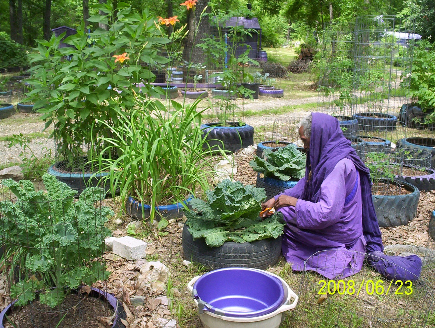 Reverend Nazirmoreh's Seasoning Blends