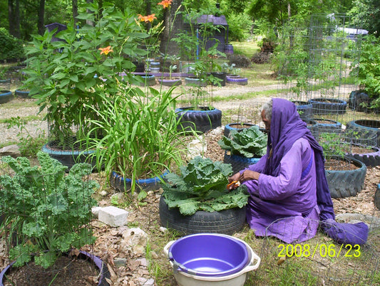 Reverend Nazirmoreh's Seasoning Blends