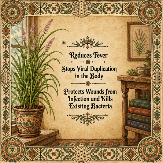 Palmarosa Essential Oil