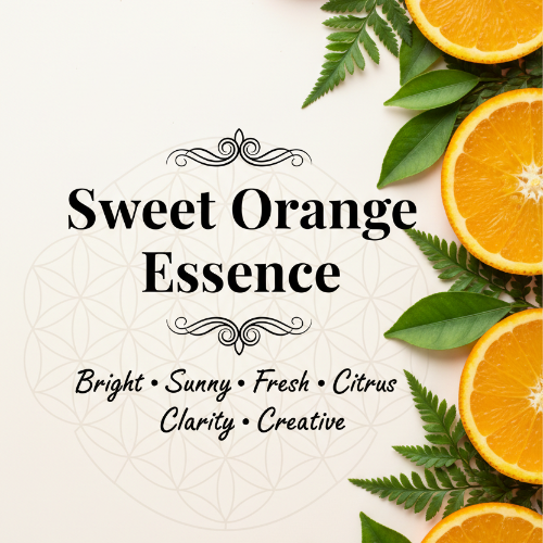Orange Sweet Essence Oil