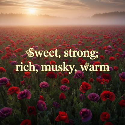 Opium Dark Essence Oil