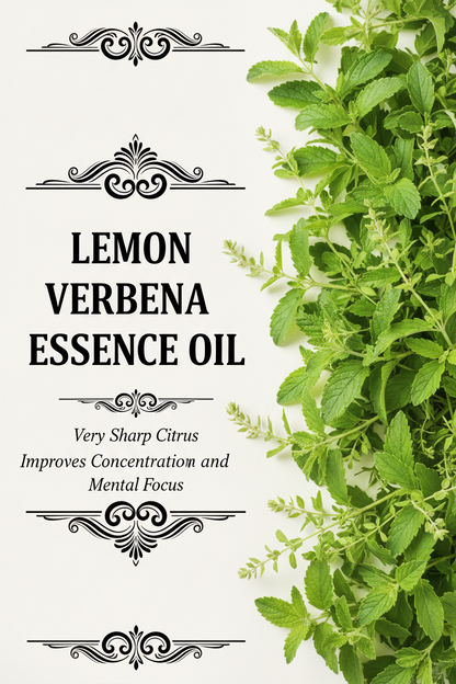 Lemon Verbena Essence Oil
