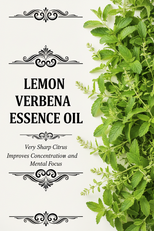 Lemon Verbena Essence Oil