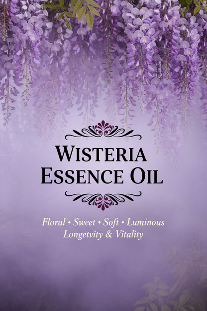 Wisteria Essence Oil